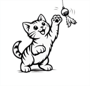 blkwt cat with toy